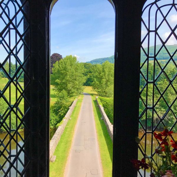 view from the tower