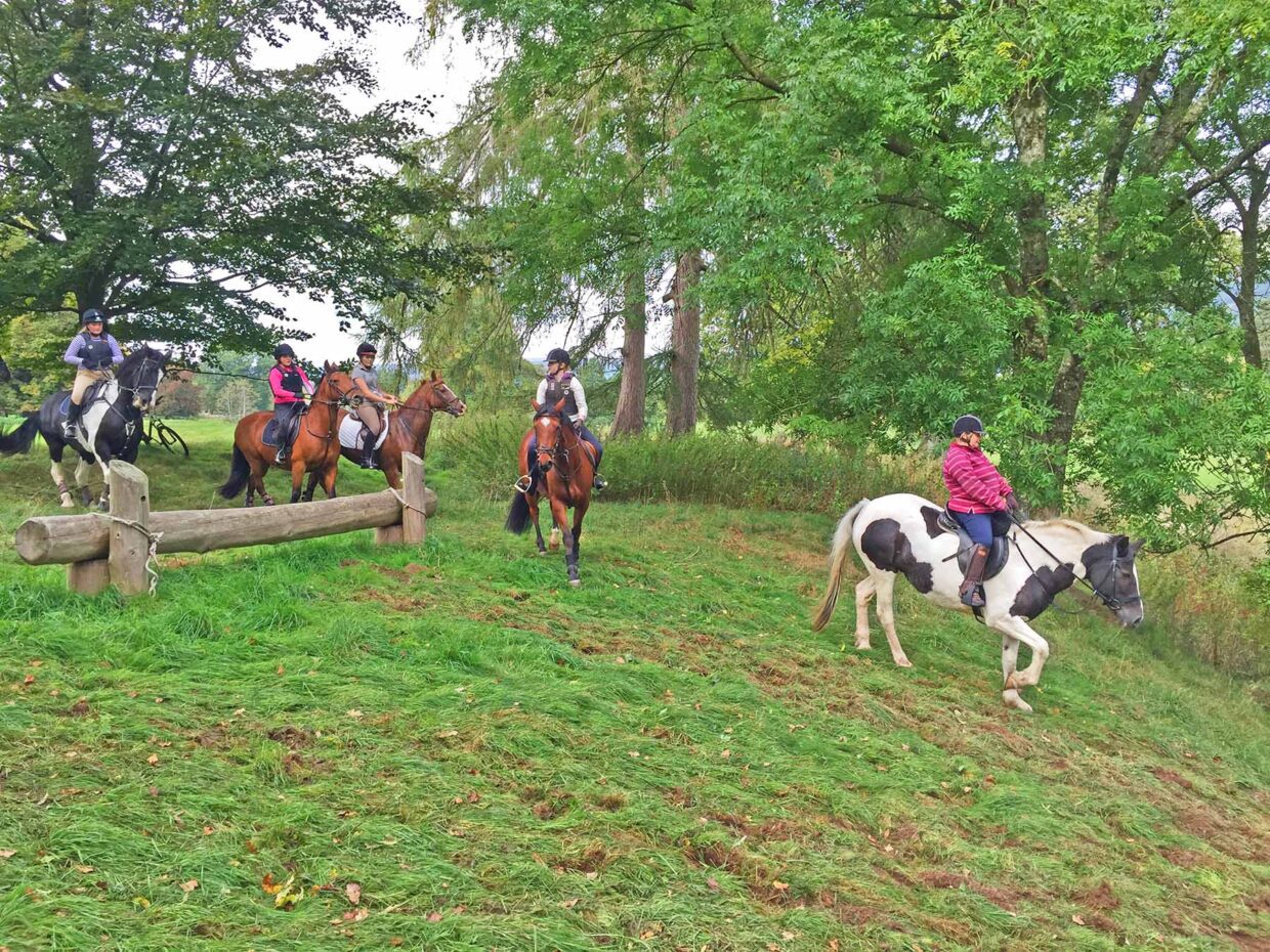 horses at funride