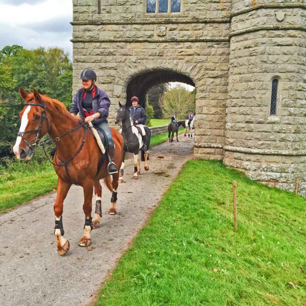 horses at funride