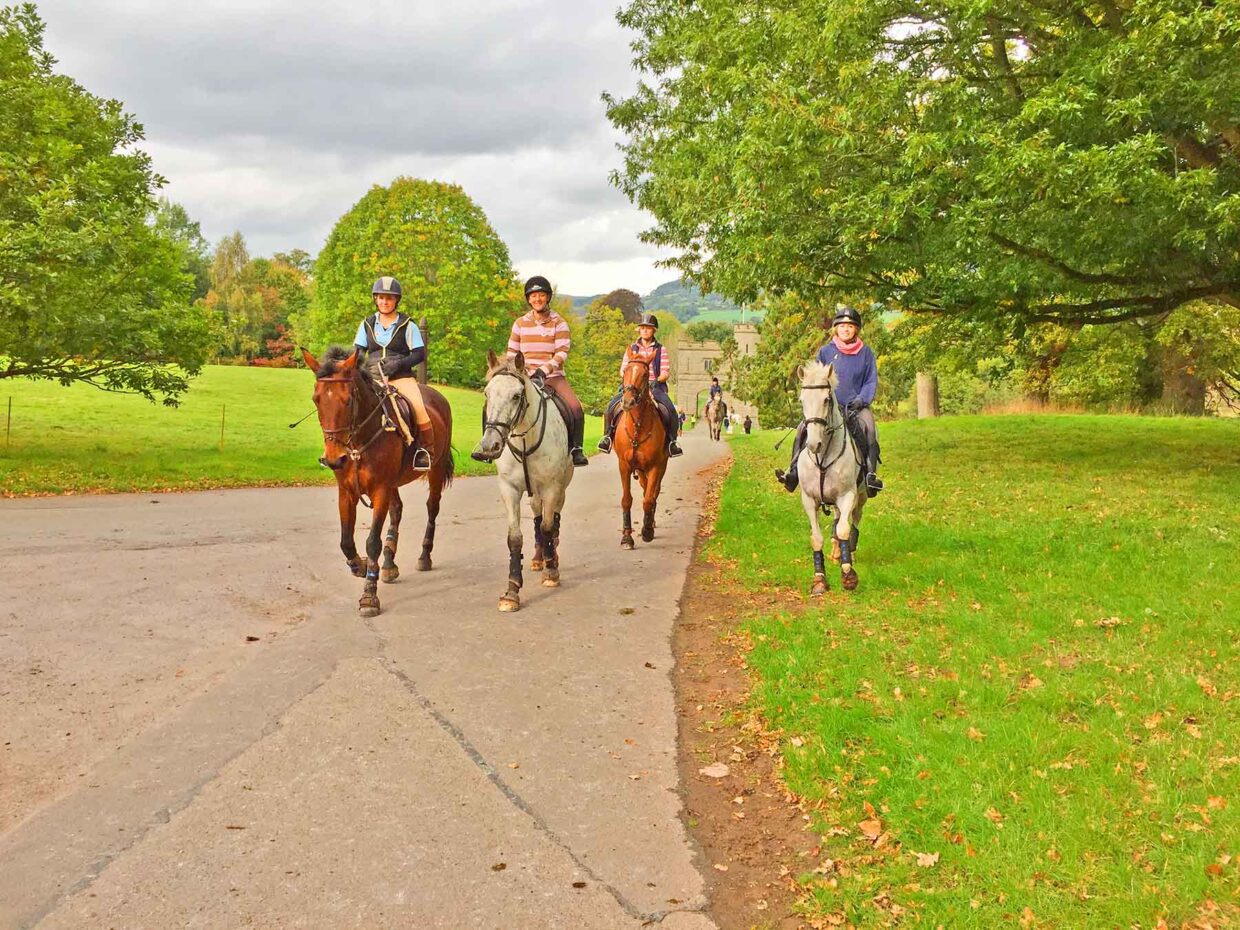 horses, funride, smiles