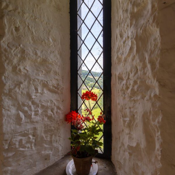 Flowers in windows on stairs